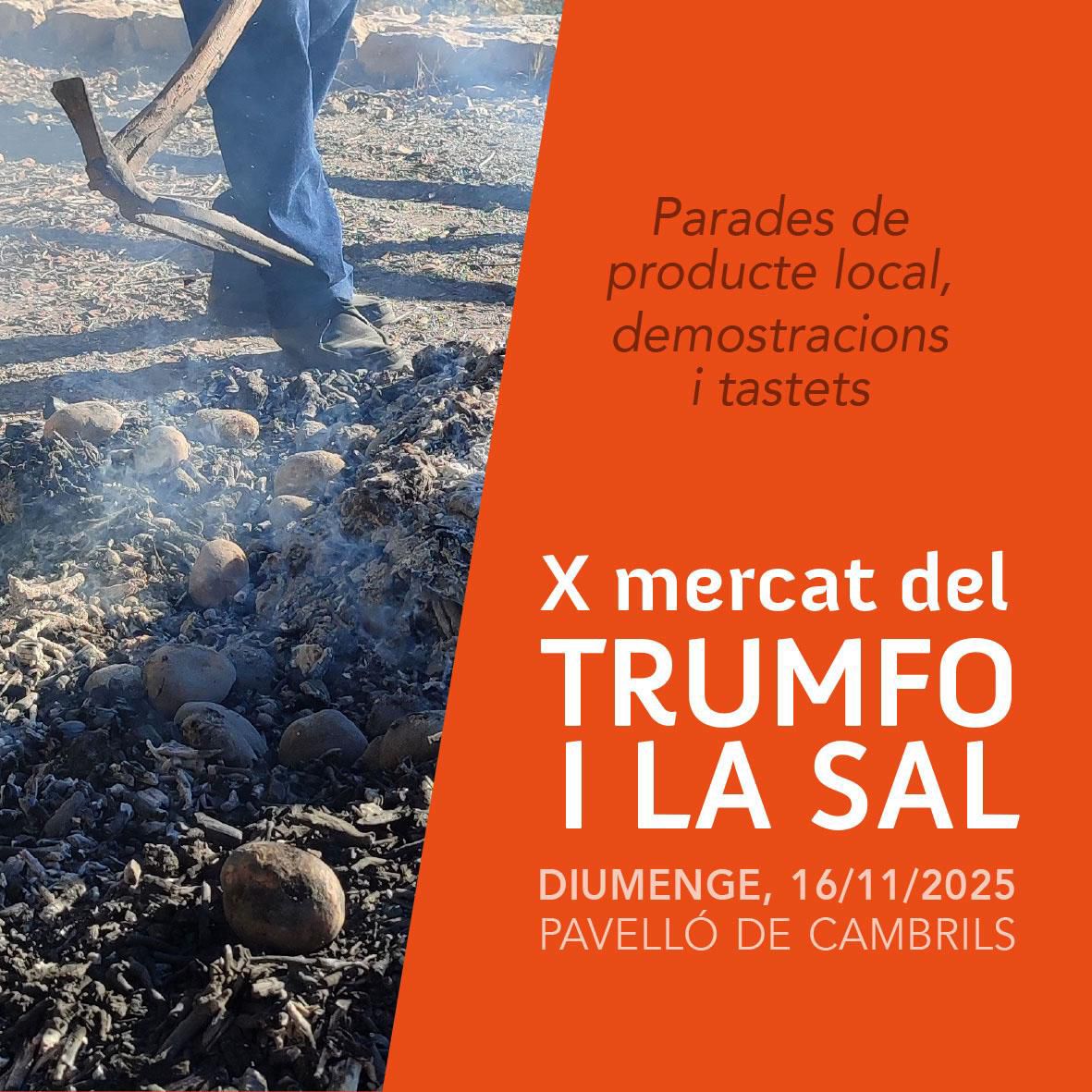 WhatsApp Image 2025-10-28 at 16.46.30